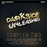 Artwork for Darkside Unleashed Sampler 2 by Various Artists