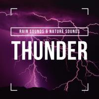 Artwork for Thunder by Rain Sounds