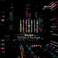 Artwork for Journey in the Night by Bloume