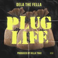 Artwork for Plug Life by Dela The Fela