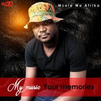 Artwork for My Music Your Memories by Mzala Wa Afrika