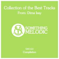 Artwork for Collection of the Best Tracks From: Dima Isay by Dima Isay