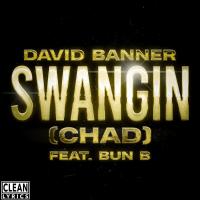 Artwork for Swangin (Chad) by David Banner