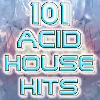 DJ Acid Hard House