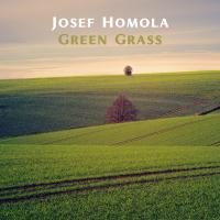 Artwork for Green Grass by Josef Homola