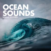 Artwork for Ocean Sounds by Whale Sounds