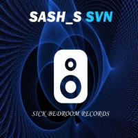 Artwork for SVN by Sash_S