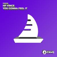 Artwork for You Gonna Feel It by HP Vince