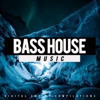 Artwork for Bass House, Vol.5 by Various Artists