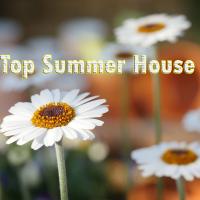 Artwork for Top Summer House by Various Artists