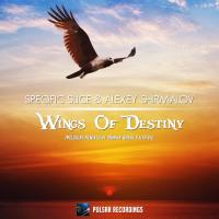 Artwork for Wings Of Destiny by Specific Slice