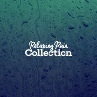 Artwork for Relaxing Rain Collection by Rain Sounds Nature Collection