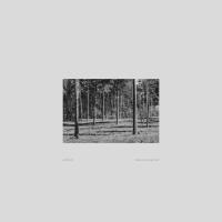 Artwork for Analog Algorithm by Lomidze