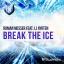 Artwork for Break The Ice (Witness45 Radio Edit)