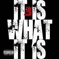 Artwork for It Is What It Is by ZayTheGOAT