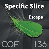 Artwork for Escape by Specific Slice