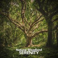 Artwork for Natural Woodland Serenity by Nature Sounds For Sleep and Relaxation