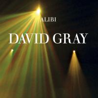 Artwork for Alibi, Pt. 1 by David Gray