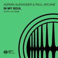 Artwork for In My Soul (Sunny Lax Remix) by Adrian Alexander