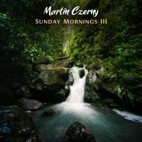 Artwork for Sunday Mornings III by Martin Czerny