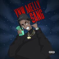 Artwork for Gang by YNW Melly