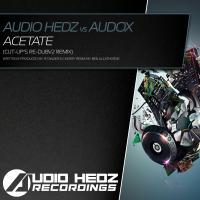 Artwork for Acetate (Cut-Up's Re-DubV2 Remix) by Audio Hedz