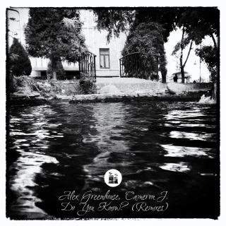 Artwork for Do You Know? (Triple Forests Remix)