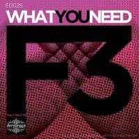 Artwork for What You Need by F3