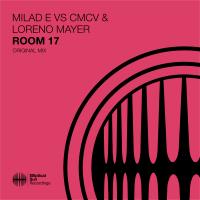 Artwork for Room 17 by Milad E