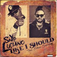 Artwork for Like I Should (feat. Ethan Spalding) by Snyp Luciano
