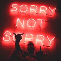 Artwork for Sorry Not Sorry by Zoey Dollaz