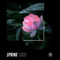 Artwork for Spring 2023 by Ibiza Lounge