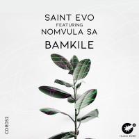 Artwork for Bamkile by Saint Evo