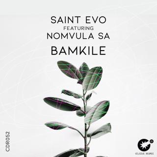 Artwork for Bamkile (Original Mix)