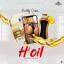 Artwork for H'oil