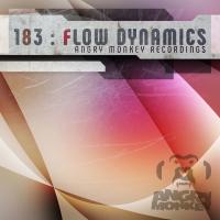 Artwork for Flow Dynamics by Various Artists