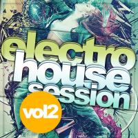 Artwork for Electro House Session, Vol.2 by Various Artists