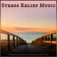 Artwork for Stress Relief Music: Calming Music for Sleep, Mindfulness, Spa and Background Healing Music for Wellness by Pure Relaxation Music