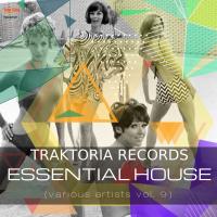 Artwork for Essential House, Vol. 9 by Various Artists