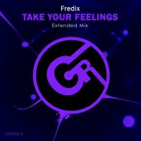 Artwork for Take Your Feelings by Fredix