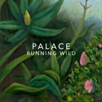 Artwork for Running Wild by Palace