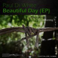 Artwork for Beautiful Day by Paul Di White