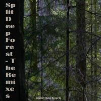 Artwork for Deep Forest by Split