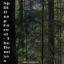 Artwork for Deep Forest (DnB Remix)
