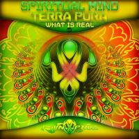 Artwork for What Is Real by Spiritual Mind