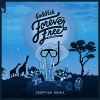 Artwork for Forever Free by GoldFish