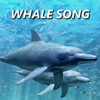 Whale Song