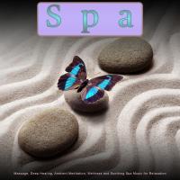 Artwork for Spa: Massage, Healing, Meditation, Wellness and Soothing Spa Music for Relaxation by Spa Playlist