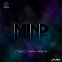 Artwork for Mind by DJ Flagg