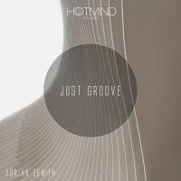 Artwork for Just Groove by Adrian Zenith